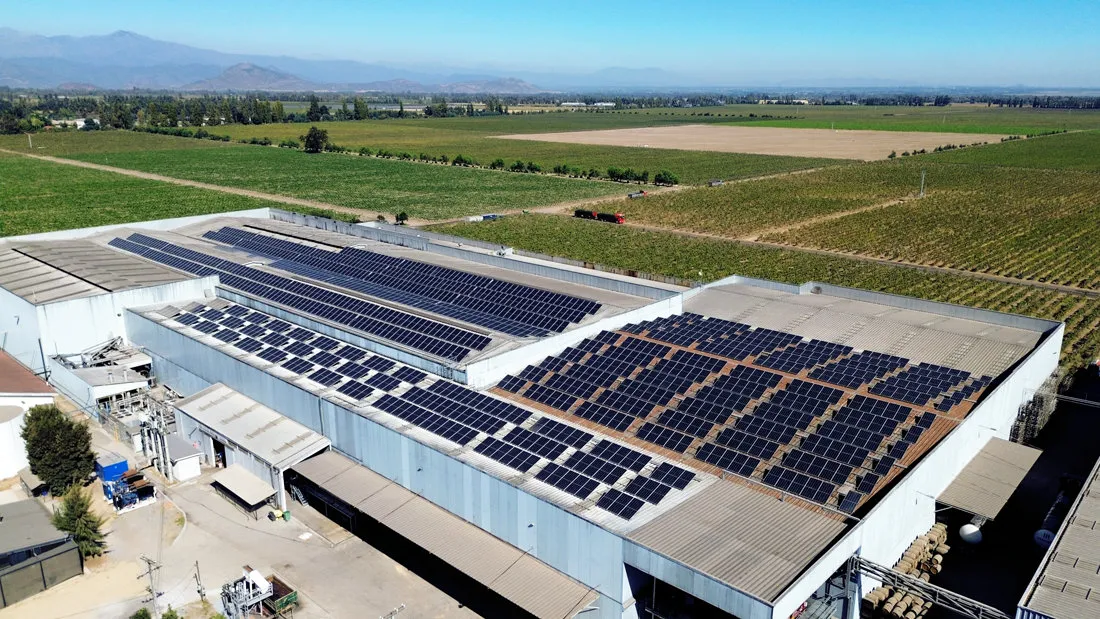Paneles solares en campo